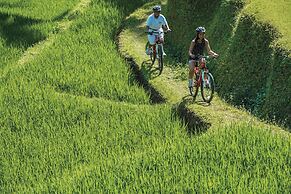 Four Seasons Resort Bali at Sayan