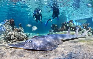 Daydream Island Resort