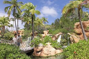 The Coral at Atlantis