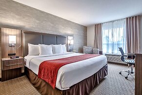 Comfort Inn And Suites South