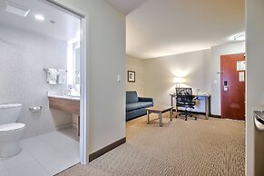 Comfort Inn And Suites South