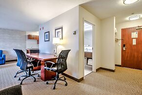 Comfort Inn And Suites South