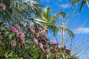 Islander Resort