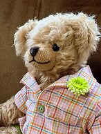 Teddybärenhotel