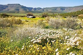 Bushmans Kloof Wilderness Reserve