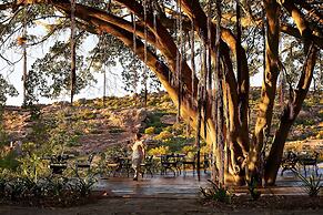 Bushmans Kloof Wilderness Reserve
