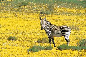 Bushmans Kloof Wilderness Reserve
