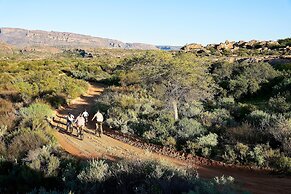 Bushmans Kloof Wilderness Reserve