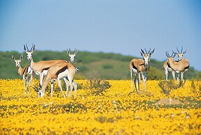 Bushmans Kloof Wilderness Reserve