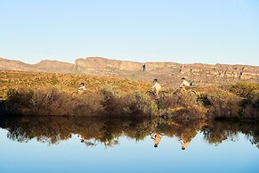 Bushmans Kloof Wilderness Reserve