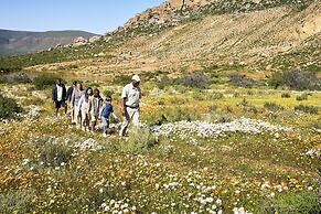 Bushmans Kloof Wilderness Reserve
