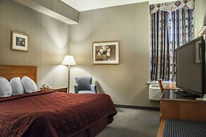 Comfort Inn Lundys Lane