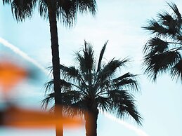 Mondrian Cannes