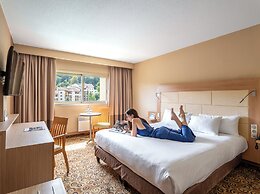 Hôtel Lyon Métropole & Spa