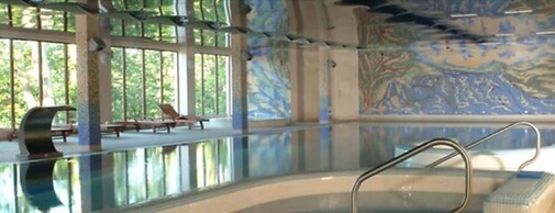 Falls Hotel & Spa