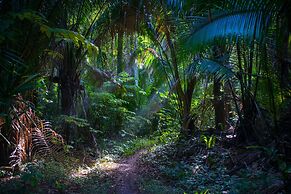 The Explorean Selva Maya Kohunlich