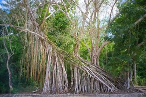 The Explorean Selva Maya Kohunlich