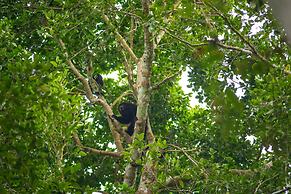 The Explorean Selva Maya Kohunlich