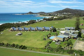 Diamond Island Resort & Penguin viewing