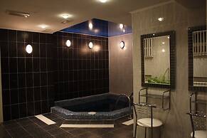 Hotel Parus