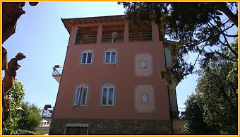 Hotel David