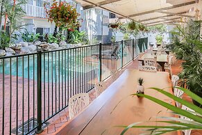 Coral Tree Inn