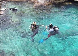 Cozumel Hotel & Resort