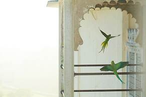 RAAS Devigarh