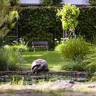Vineyard Hotel
