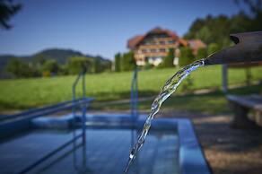 Silberkönig Schwarzwald Hotel Ringhotel