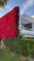 Monte Carlo Sharm Resort & Spa
