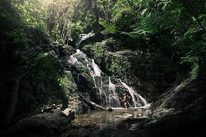 Daintree Ecolodge