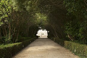 Quinta Das Lagrimas
