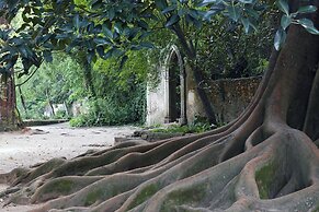 Quinta Das Lagrimas