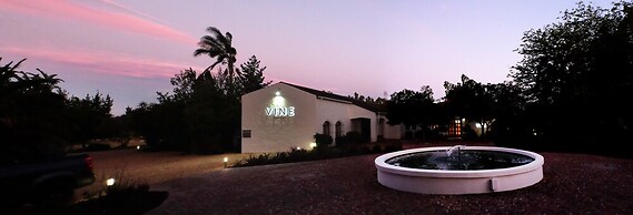 Vine Guesthouse