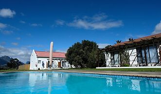 Vine Guesthouse