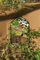 The Cellars-Hohenort