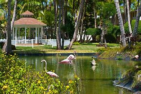 Catalonia Punta Cana - All Inclusive