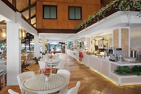 Discovery Coron