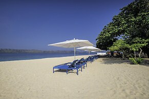 Discovery Coron
