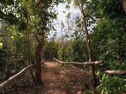 Discovery Coron