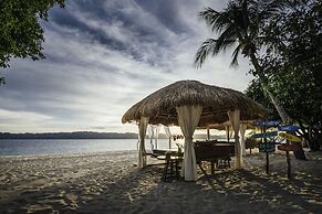 Discovery Coron