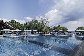Discovery Coron