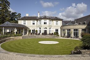 The Vineyard