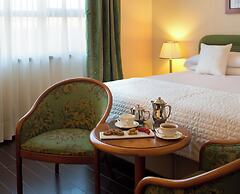 Starhotels Business Palace