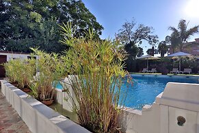 Oasis Cordoba Hotel
