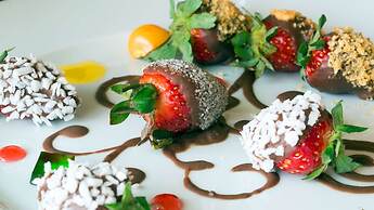 Occidental Papagayo - Adults Only - All inclusive