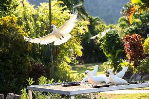 Amaroo Rainforest Resort