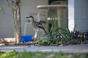 Amaroo Rainforest Resort