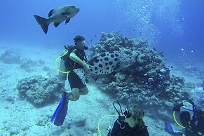 Lizard Island Resort
